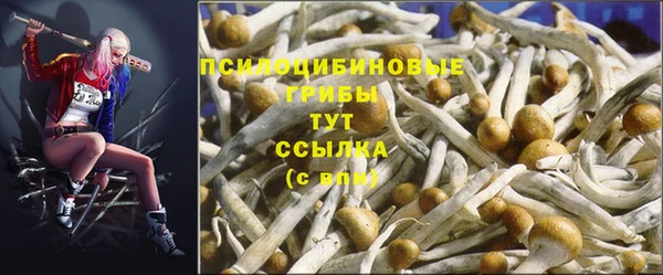 таблы Алексин
