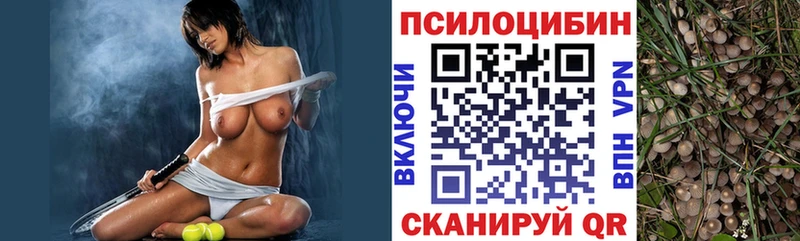 кракен как зайти  Данков  нарко площадка официальный сайт  Галлюциногенные грибы Psilocybine cubensis 